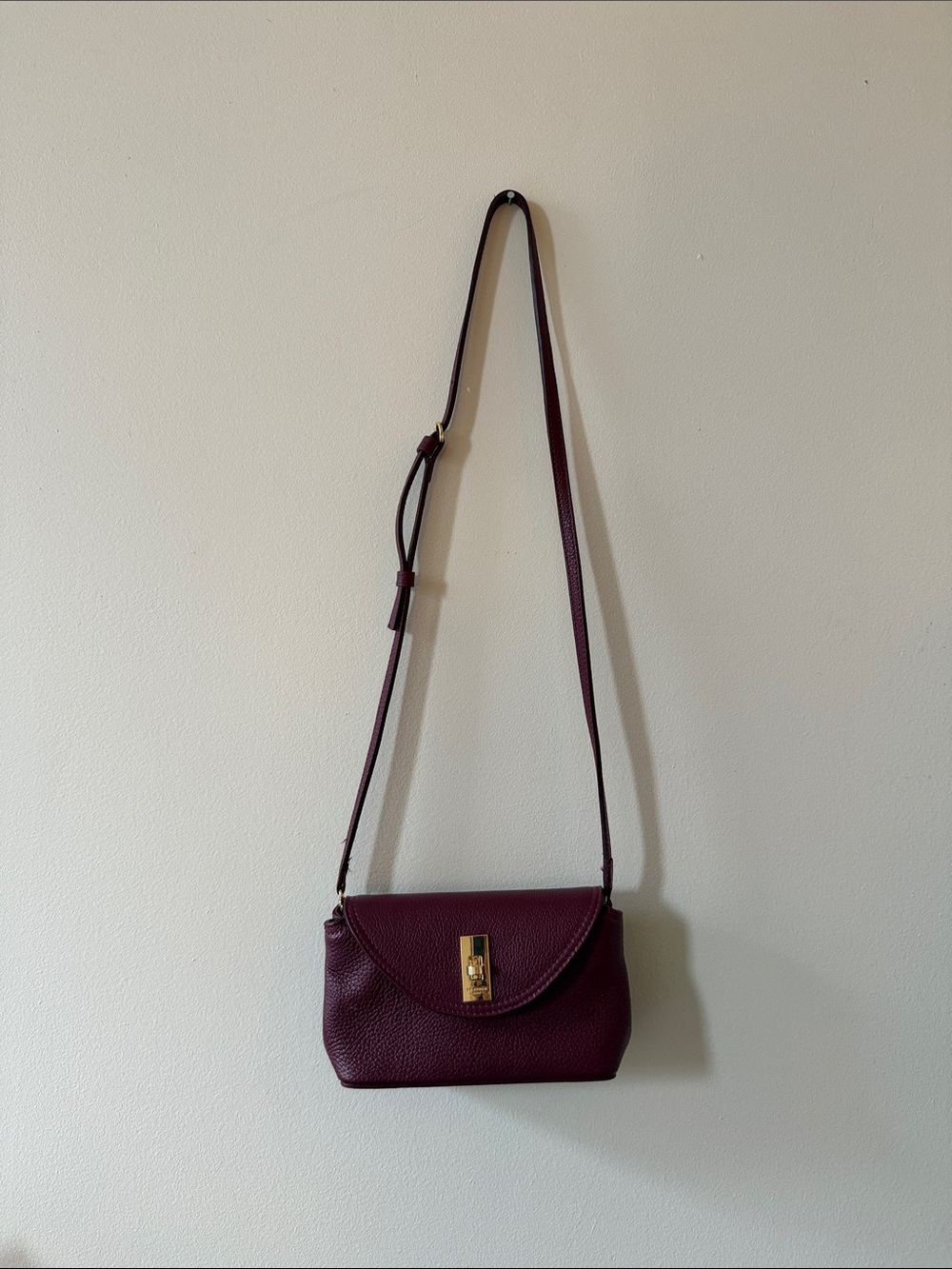 Compact Women's Crossbody Bag in Plum with Gold Hardware